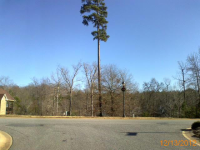 159 E TATTERSALL DR, STATESVILLE, NC 28677 