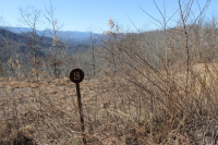 LOT 18 WILDFLOWER, FRANKLIN, NC 28734 