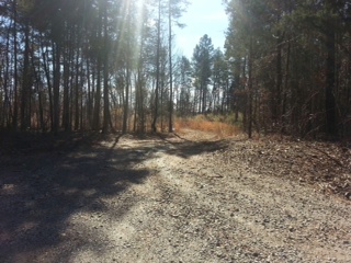 10200  ENCLAVE CIRCLE LOT 1, CONCORD, NC 28027 