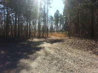 10200  ENCLAVE CIRCLE LOT 1, CONCORD, NC 28027 