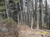 LOT 7A JADE MOUNTAIN, MILLERS CREEK, NC 28651 