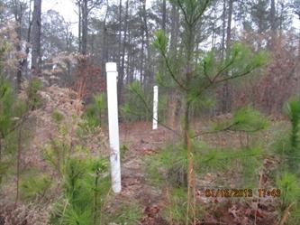 , Section 16 Forest Cr (Apn, Southern Pines, NC 28387 