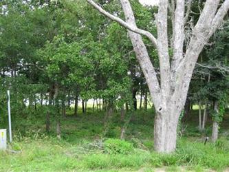 2023 Healing Waters Ln (Apn# 230kc0, Supply, NC 28462 