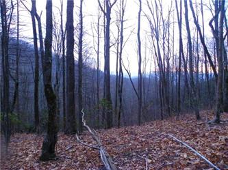 Homestead 172 Balsam Mountain (Apn#, Sylva, NC 28779 