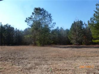 167 October Glory Drive (Apn# 09-15, Wallace, NC 28466 