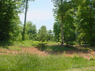 2234 Nettlebrook Drive, Winston Salem, NC 27106 