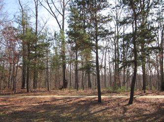 14321 Roe Buck Meadow Lane (Apn#199, Charlotte, NC 28278 