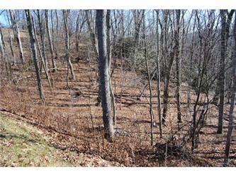 5 Morgans Ridge, Boone, NC 28607 