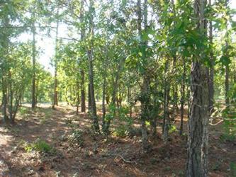 561 Bendigo Passage Se (Apn#  202ga, Bolivia, NC 28422 