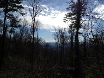 Lot 28 Reynolds Mountain (Apn# 9741, Asheville, NC 28804 