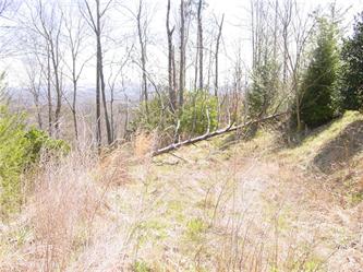 Lot 78 Cliffs At Walnut Cove (Apn#, Arden, NC 28704 