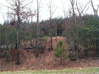 1926 White Tree Trail #203 (Apn# 96, Arden, NC 28704 