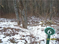 Lot # 6 Whisper Mountain (Apn# 8763, Leicester, NC 28748 
