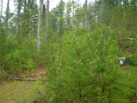 27 Country Cove Ct, Leicester, NC 28748 