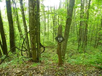 Lt 10 Balsam Mtn Preserve  Apn 7672, Jackson, NC 28779 