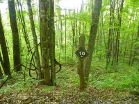 Lt 10 Balsam Mtn Preserve  Apn 7672, Jackson, NC 28779 