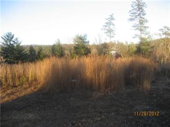 Lot 34 1.66 Acres (Apn# 1712.00-58-, Marion, NC 28752 