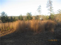 Lot 34 1.66 Acres (Apn# 1712.00-58-, Marion, NC 28752 