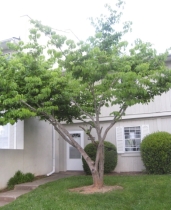 5715 Bramblegate Rd Unit J, Greensboro, NC 27409 