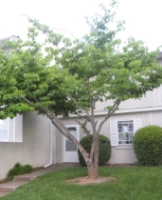 5715 Bramblegate Rd Unit J, Greensboro, NC 27409 