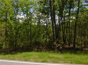 1937 White Tree Trail #215 (Apn# 96, Arden, NC 28704 