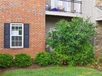 715 Appeldoorn Cir, Asheville, NC 28803 