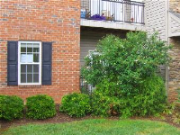 715 Appeldoorn Cir, Asheville, NC 28803 