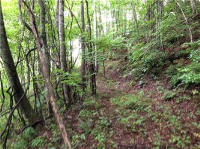 Lot 224 Ph4 Balsam Mountain Preserv, Sylva, NC 28779 
