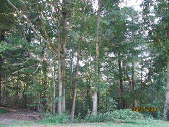 ,Oldwildlife Clubapn# 1733-00, Nebo, NC 28761 