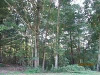 ,Oldwildlife Clubapn# 1733-00, Nebo, NC 28761 