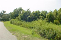 Lot 19 Sloop Point Plantation Apn#, Hampstead, NC 28443 