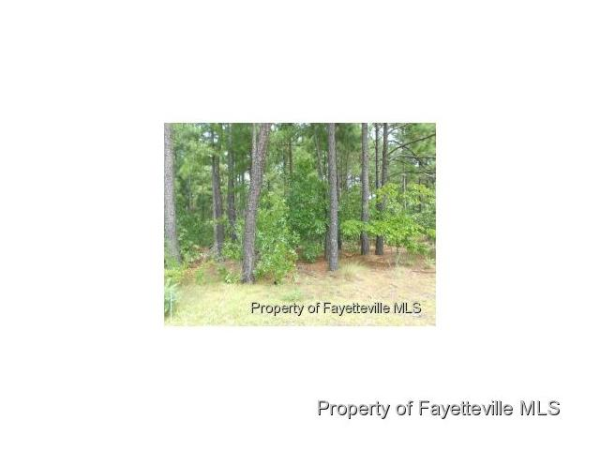 20 Shining Water Lane (47), Spring Lake, NC 28390 