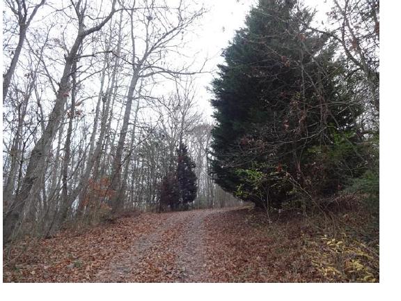 104 Azalea Drive, Hayesville, NC 28904 