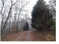 104 Azalea Drive, Hayesville, NC 28904 