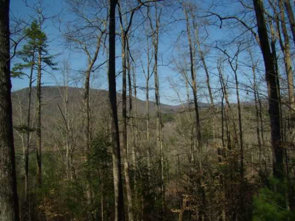0 Quiet Mountain Trail Trail, Other-North Carolina, NC 28906 