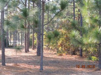 Lot 1629 Section 16 Forest Cre, Southern Pines, NC 28387 