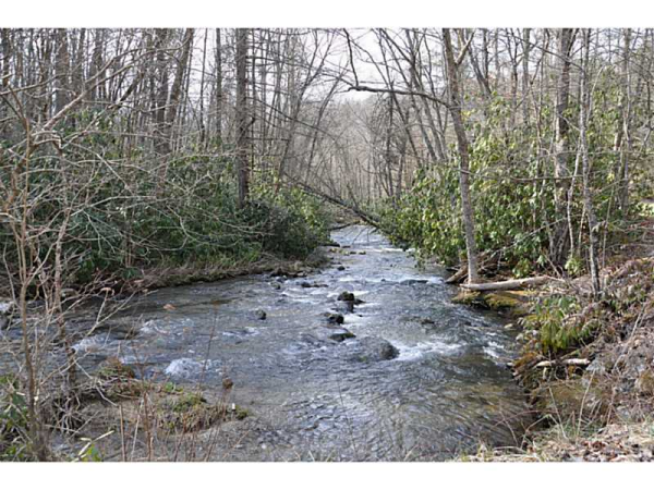 5000 Little Snowbird Road, Between, NC 28771 