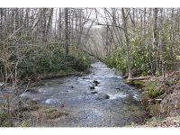 5000 Little Snowbird Road, Between, NC 28771 