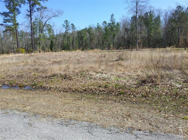 0 Council Ave, Lake Waccamaw, NC 28450 