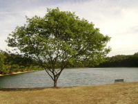 3016 Route 9 South, Rio Grande, NJ 08242 