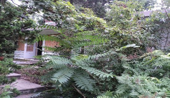 209 Old Cranbury Road, East Windsor, NJ 08512 Foreclosure