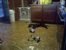 48 Concord Place, Lafayette, NJ 07848 