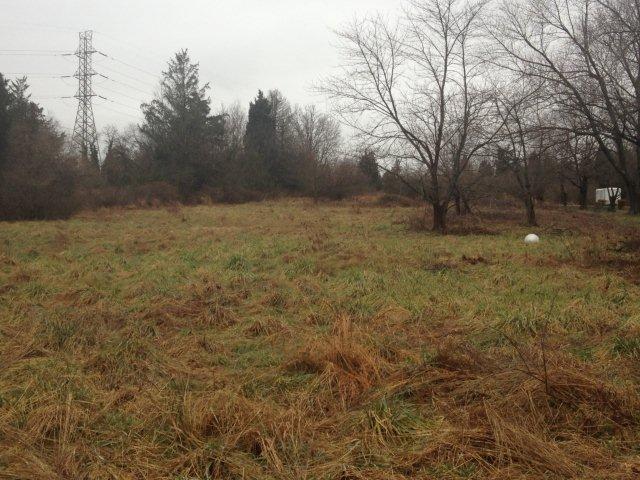 Farm Road, Hillsborough, NJ 08876 