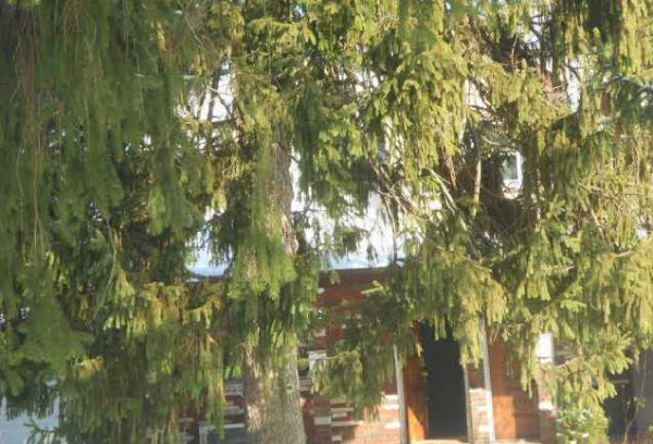 298-300 Linewood Avenue, Paterson, NJ 07502 