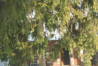 298-300 Linewood Avenue, Paterson, NJ 07502 