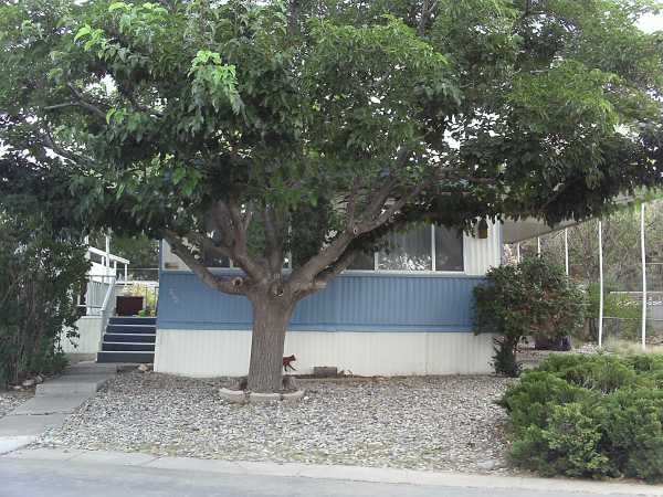 horseshoe Tr Se, Albuquerque, NM 87123 