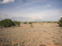 17 Alyssa Ct, Santa Fe, NM 87508 