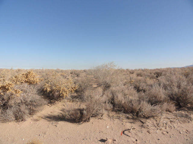 5913 Rio Arriba Rd Ne, Albuquerque, NM 87144 