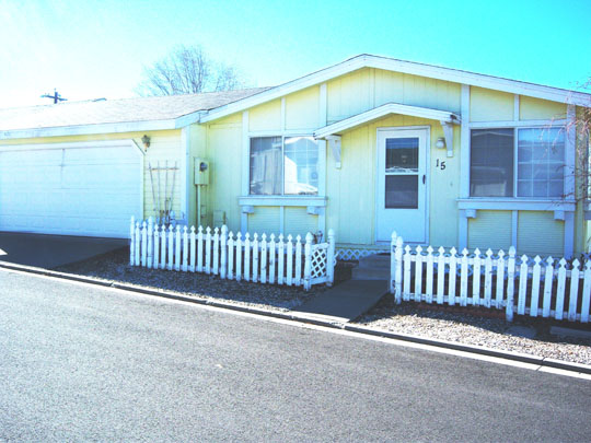 15 Lampshire Dr, Golden Valley, NV 89506 