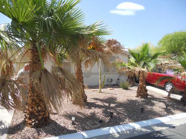 171 Vance Court, Henderson, NV 89074 